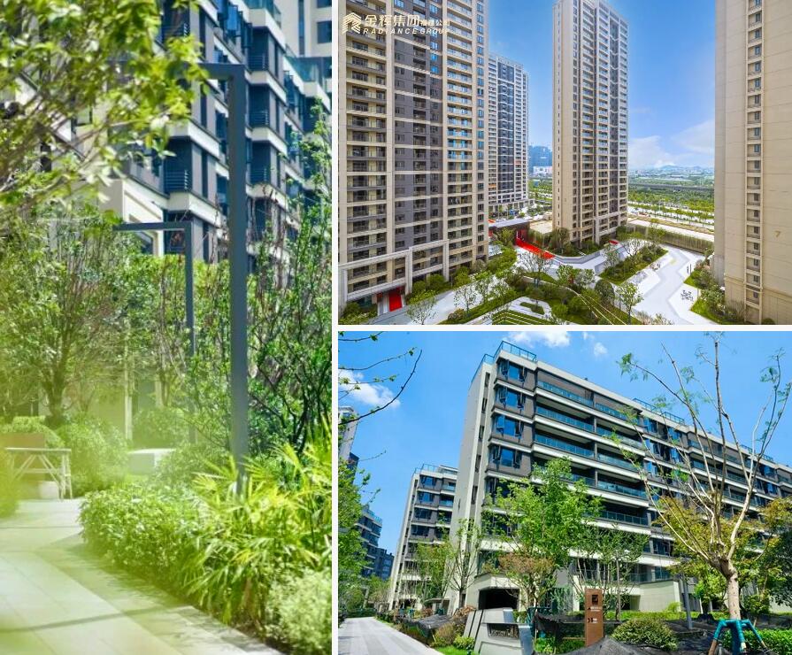 1665985830505565.jpg 18.jpg