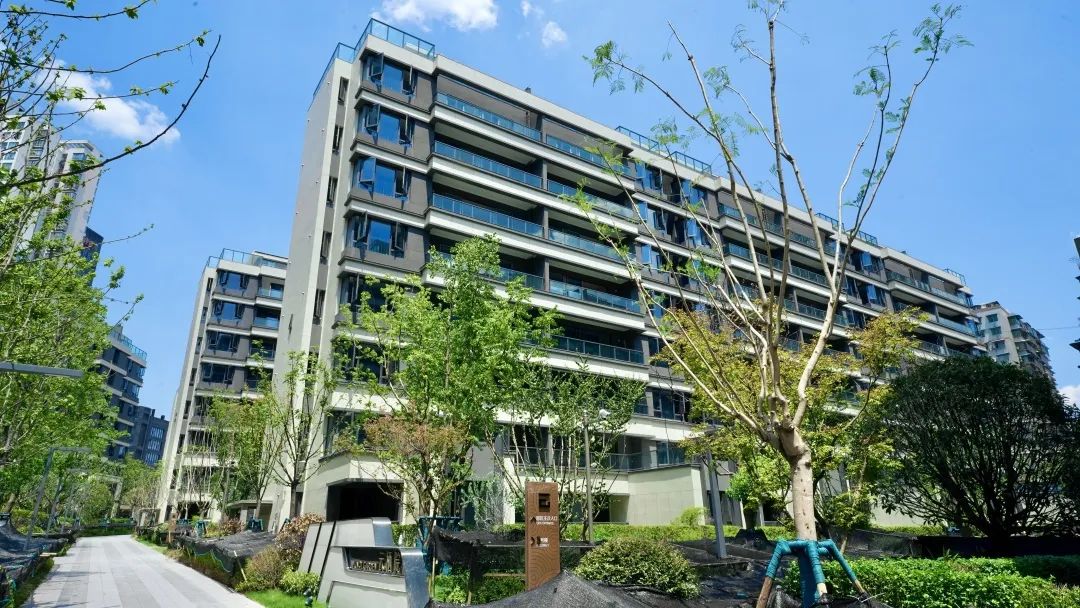 1667180646971045.jpg 8.jpg